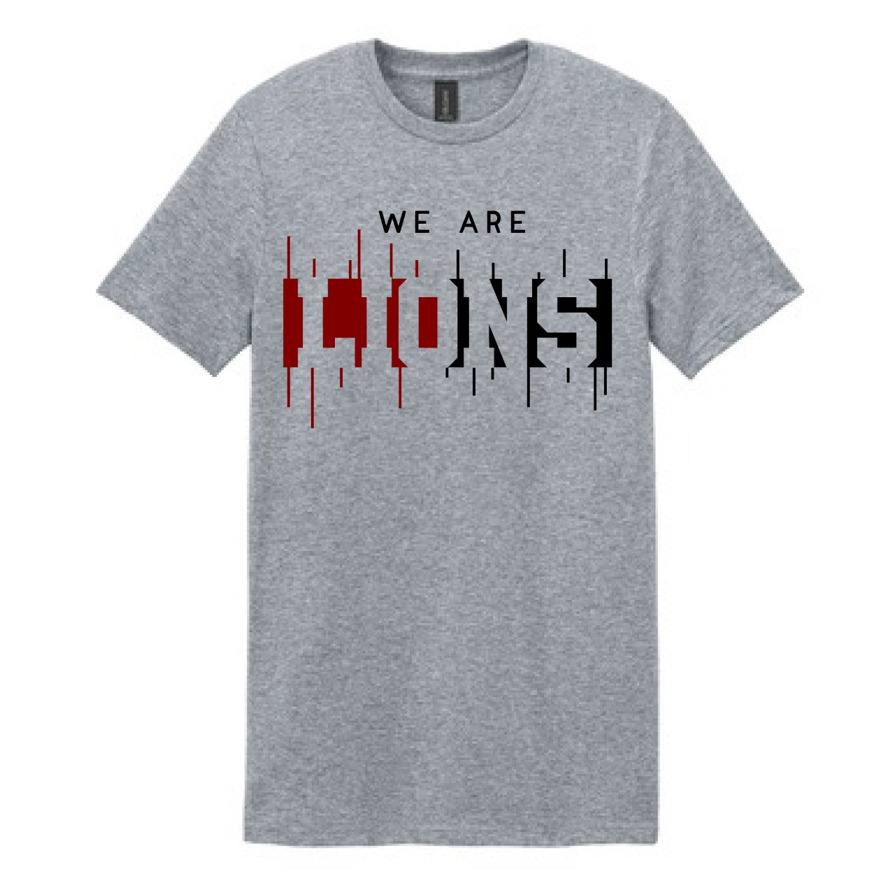 2025 We Are Lions - Grey