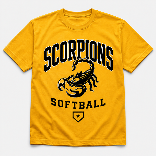 2026 BOSWELL SOFTBALL - THROWBACK VIBES