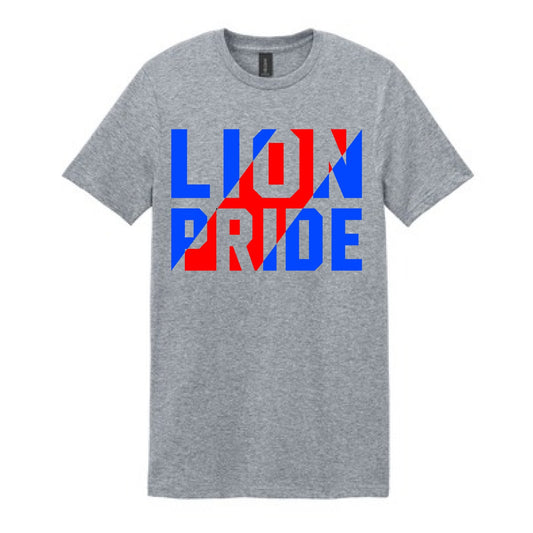 2025 Lion Pride - Grey