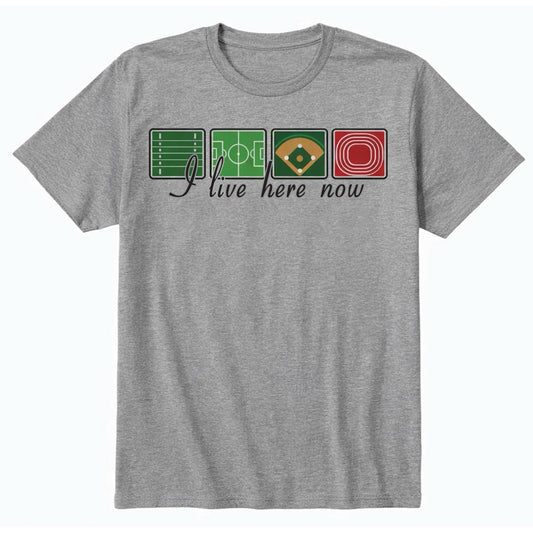 2026 I LIVE HERE NOW | DRIFIT TEE - GREY