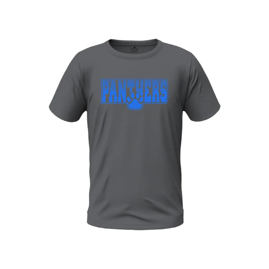 2025 PANTHERS FADED - VAR. COLORS